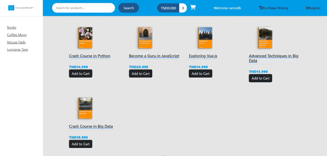 Development and deployment of an e-commerce platform.